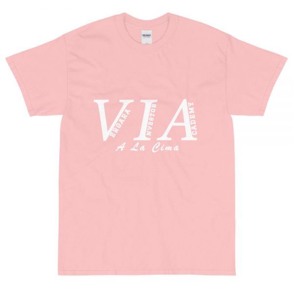 mens classic t shirt light pink front 60e71826dfc8d Vergara Investor