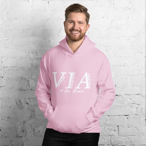 unisex heavy blend hoodie light pink front 60e718ba66944 Vergara Investor