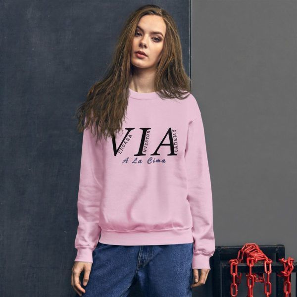 unisex crew neck sweatshirt light pink front 60e7194773082 Vergara Investor